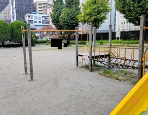 ザビエル公園の雲梯 - こども複合遊具の一部 (吊り輪。写真は問い合わせフォームでいただいたもの。2026.10.12)